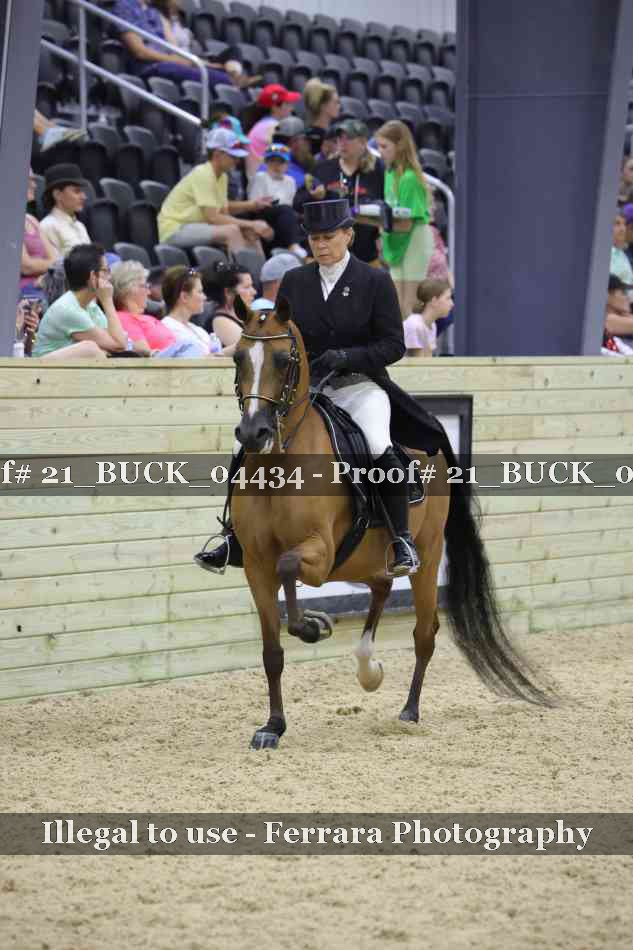 Proof 21_BUCK_04434