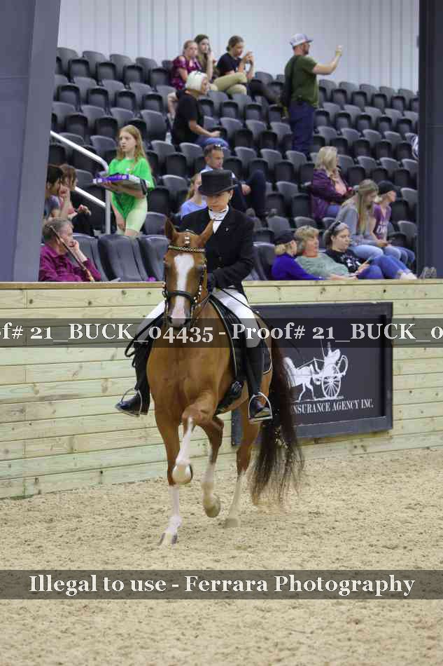 Proof 21_BUCK_04435