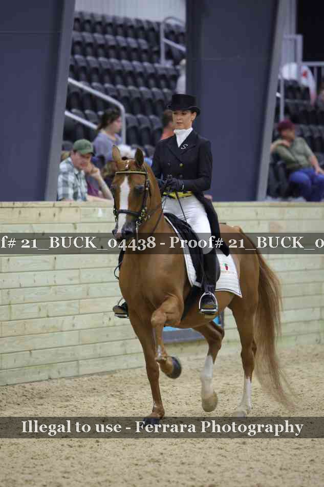 Proof 21_BUCK_04438