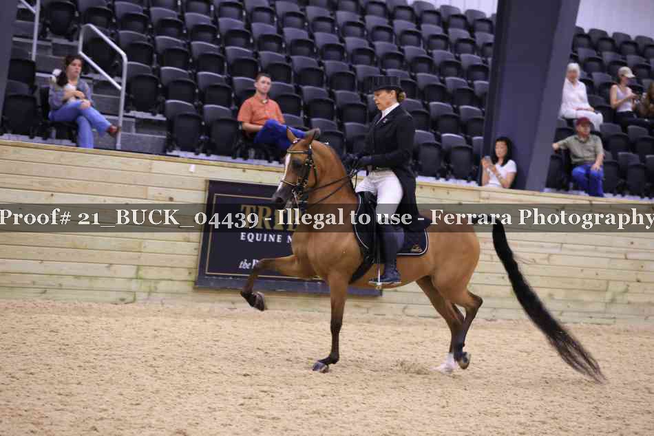 Proof 21_BUCK_04439