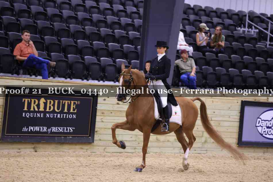 Proof 21_BUCK_04440