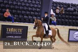 21_BUCK_04440 proof