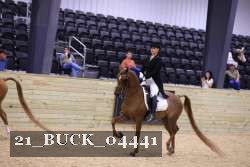 21_BUCK_04441 proof