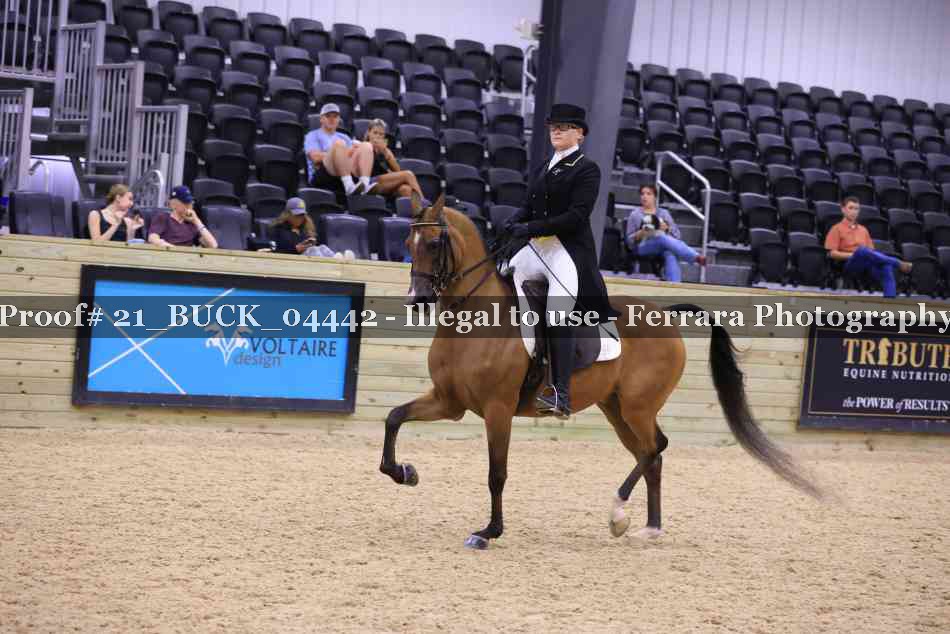 Proof 21_BUCK_04442