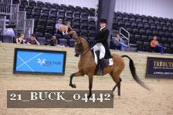 21_BUCK_04442 proof