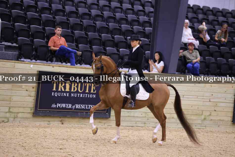 Proof 21_BUCK_04443