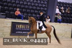 21_BUCK_04443 proof
