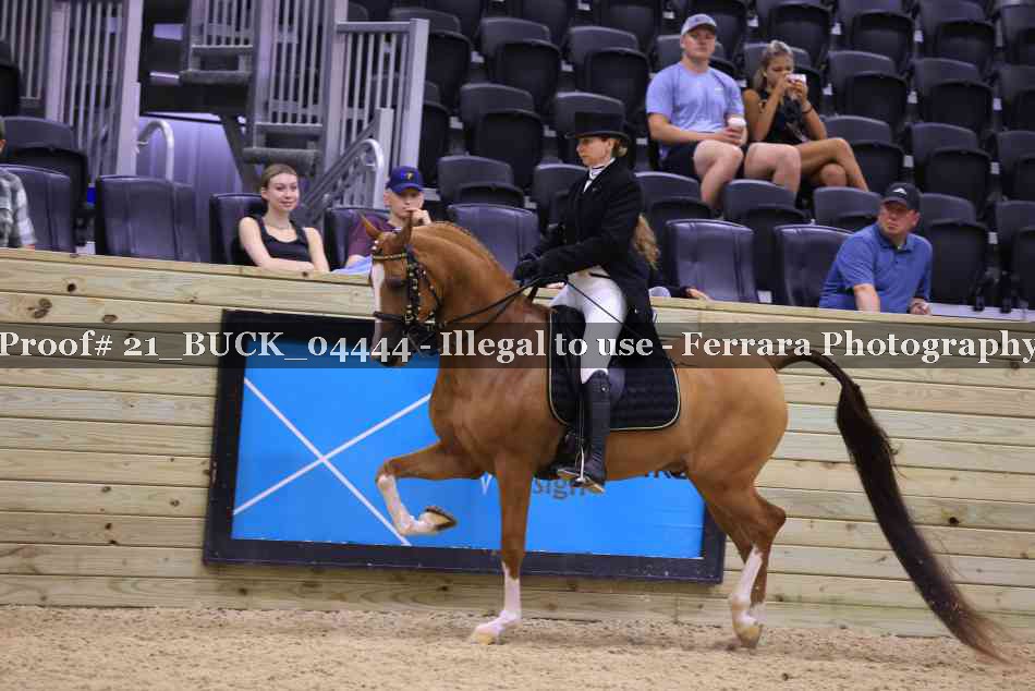 Proof 21_BUCK_04444