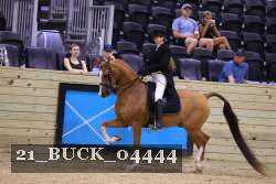 21_BUCK_04444 proof