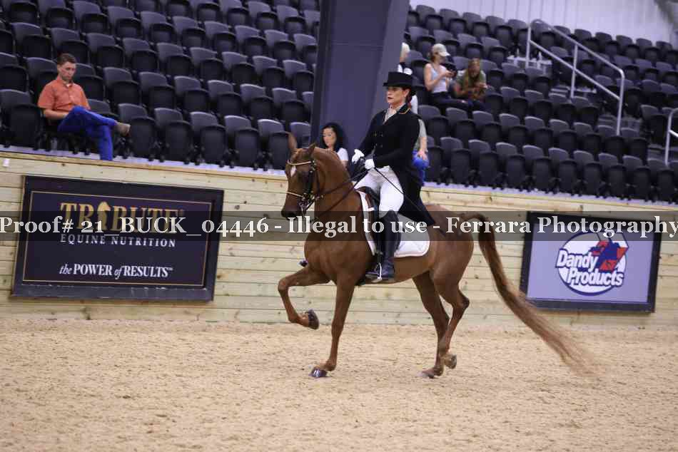 Proof 21_BUCK_04446