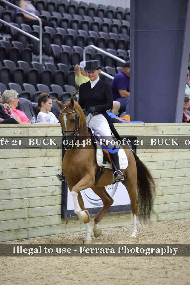 Proof 21_BUCK_04448