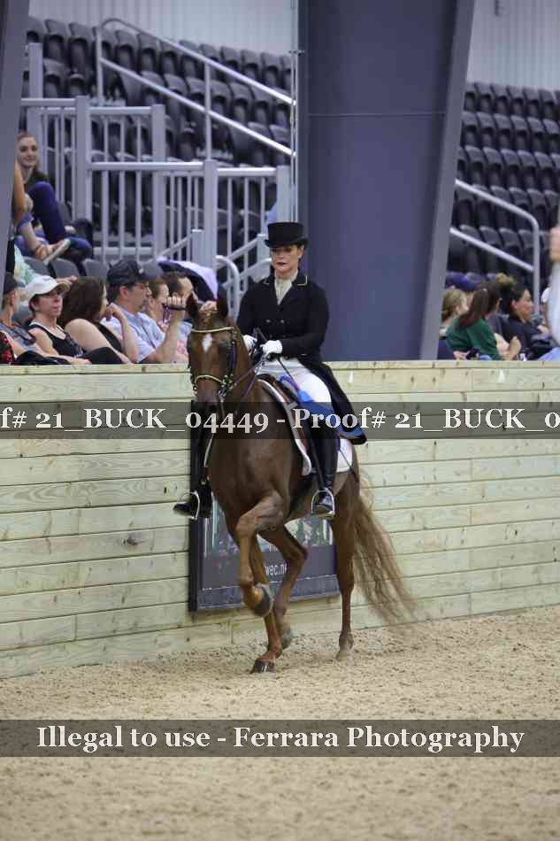 Proof 21_BUCK_04449