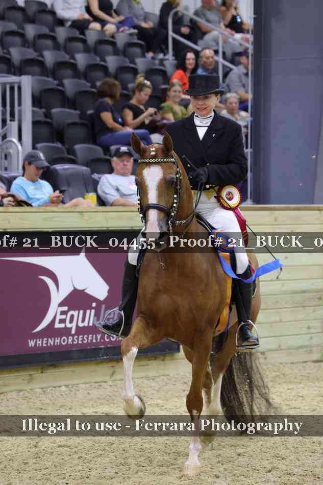 Proof 21_BUCK_04455