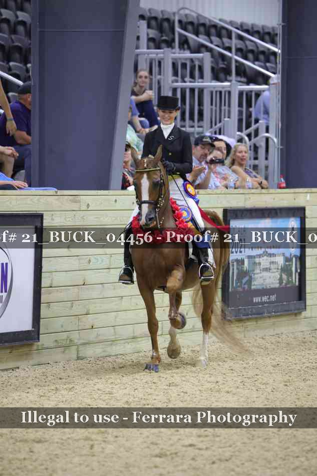 Proof 21_BUCK_04456