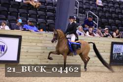 21_BUCK_04462 proof
