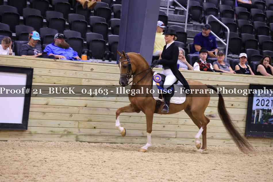 Proof 21_BUCK_04463