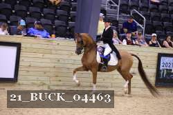 21_BUCK_04463 proof