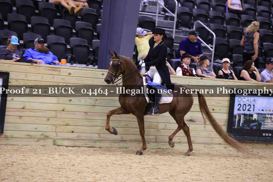 Proof 21_BUCK_04464