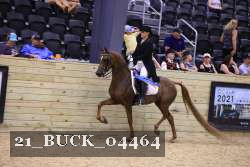 21_BUCK_04464 proof