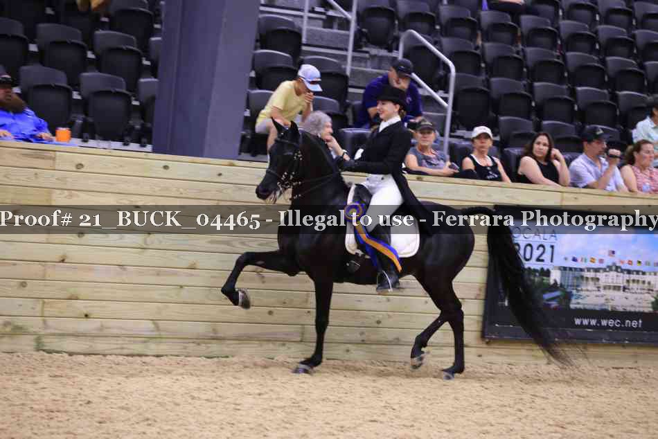 Proof 21_BUCK_04465