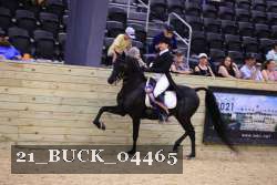21_BUCK_04465 proof