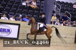 21_BUCK_04466 proof