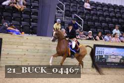 21_BUCK_04467 proof