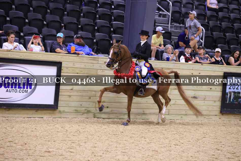 Proof 21_BUCK_04468