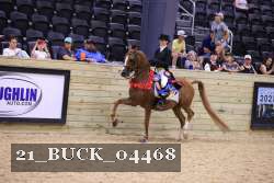 21_BUCK_04468 proof