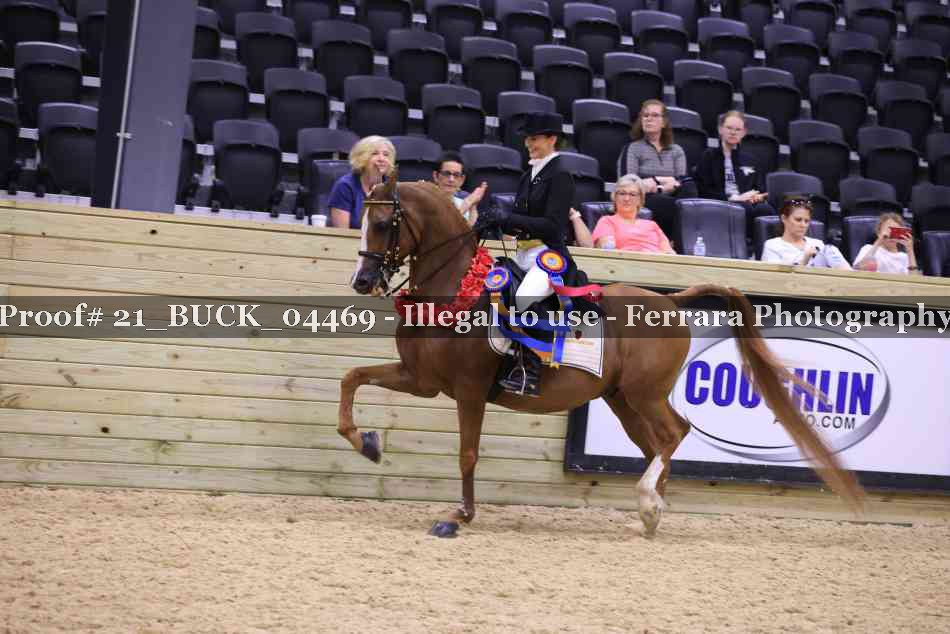 Proof 21_BUCK_04469
