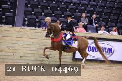21_BUCK_04469 proof