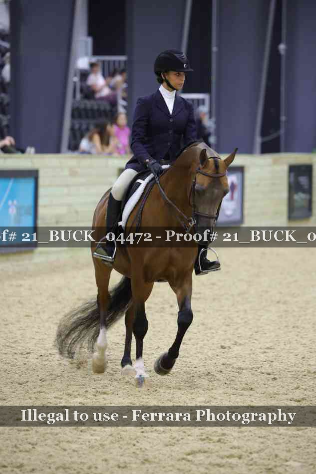 Proof 21_BUCK_04472
