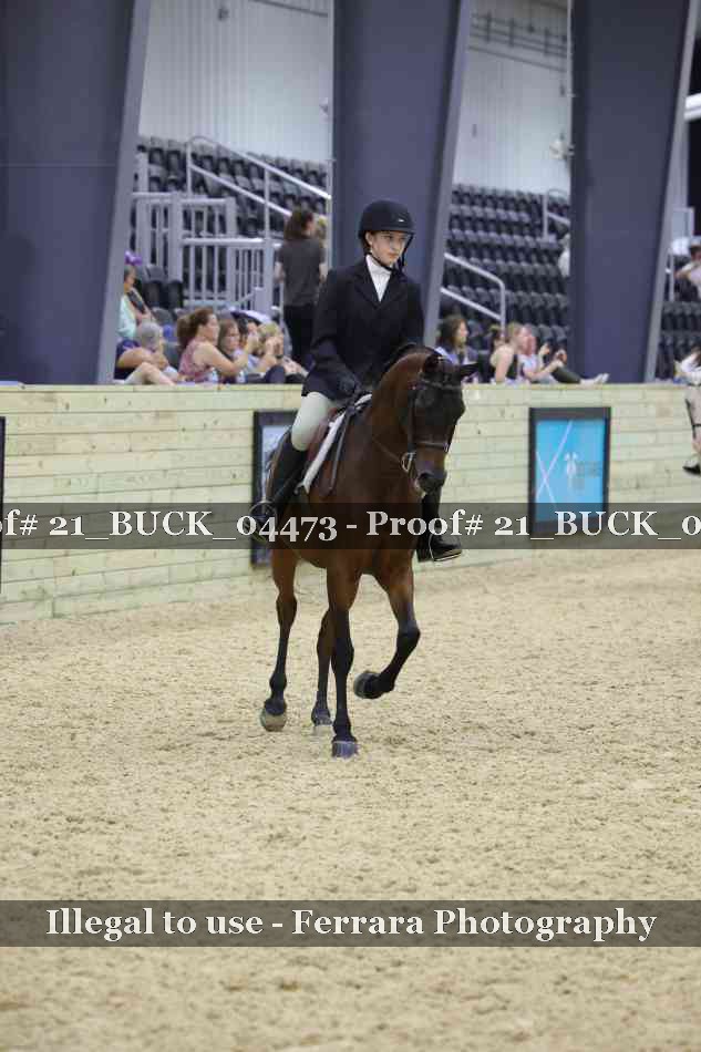 Proof 21_BUCK_04473