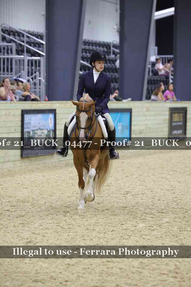 Proof 21_BUCK_04477