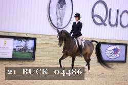 21_BUCK_04486 proof