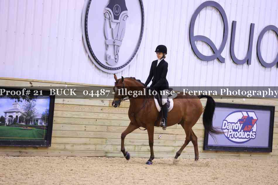 Proof 21_BUCK_04487
