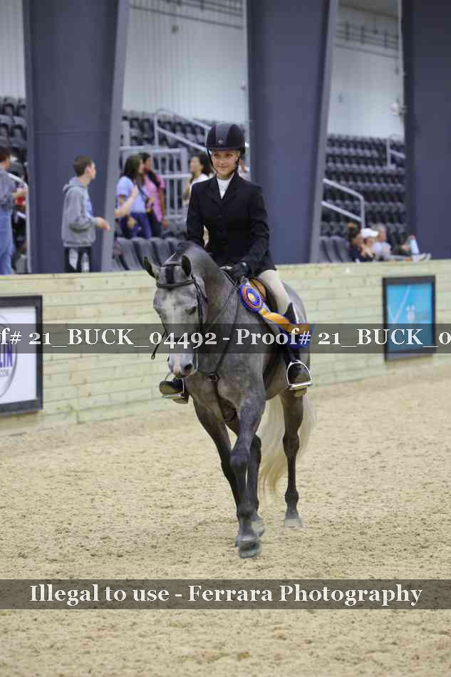 Proof 21_BUCK_04492