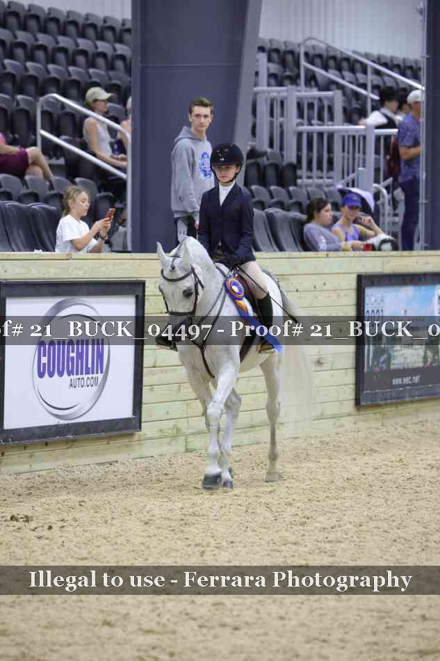 Proof 21_BUCK_04497