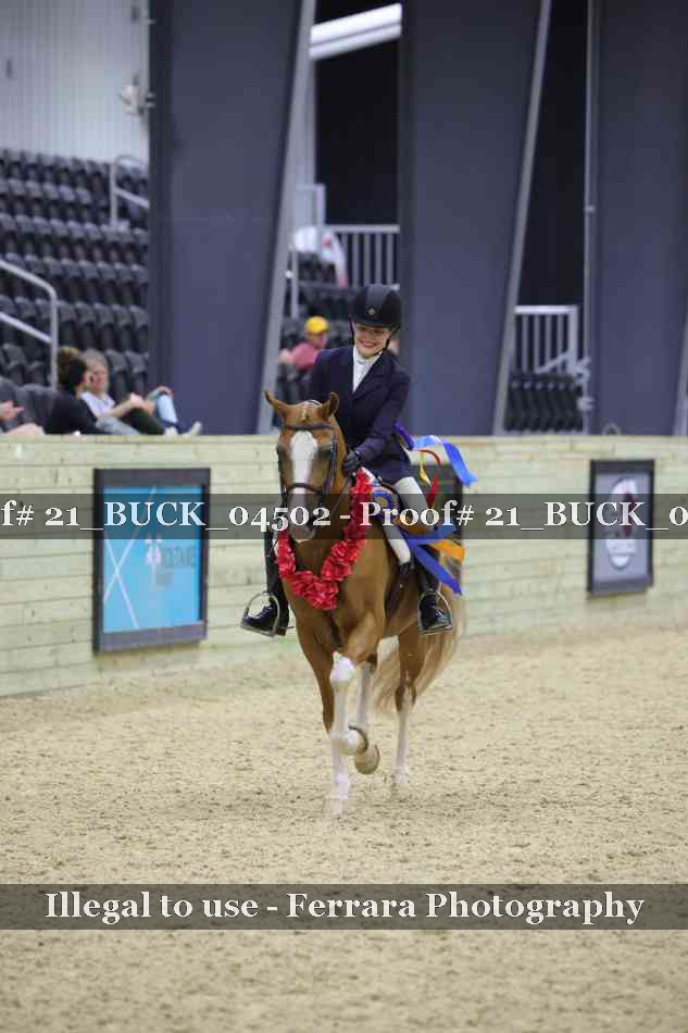Proof 21_BUCK_04502