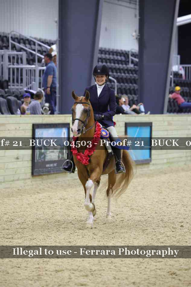 Proof 21_BUCK_04503