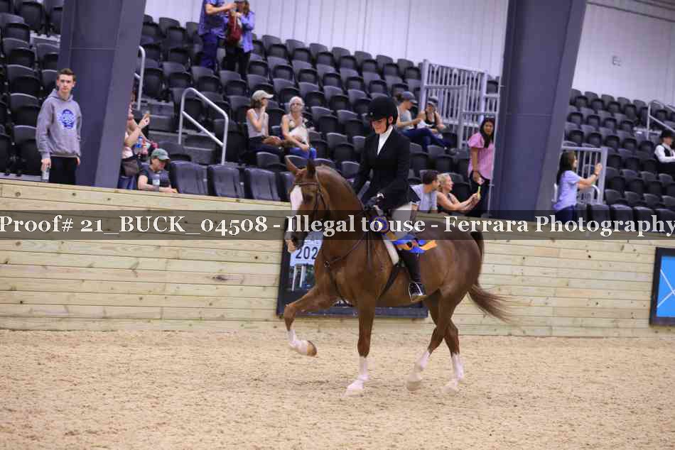 Proof 21_BUCK_04508