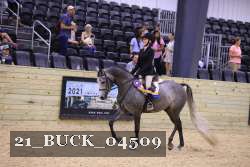21_BUCK_04509 proof