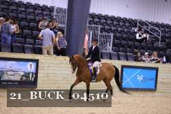 21_BUCK_04510 proof
