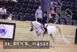21_BUCK_04512 proof