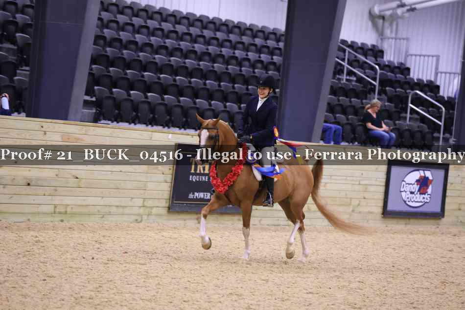 Proof 21_BUCK_04516