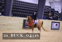 21_BUCK_04516 proof