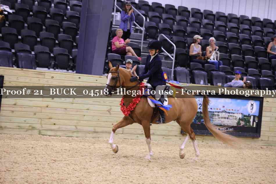 Proof 21_BUCK_04518