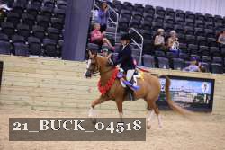 21_BUCK_04518 proof