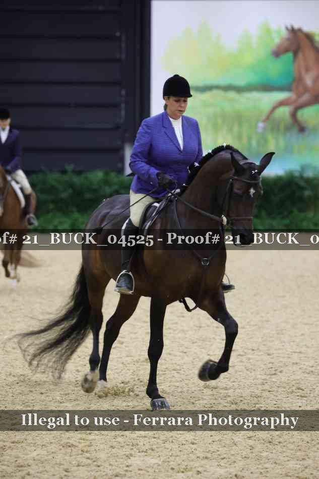 Proof 21_BUCK_04525