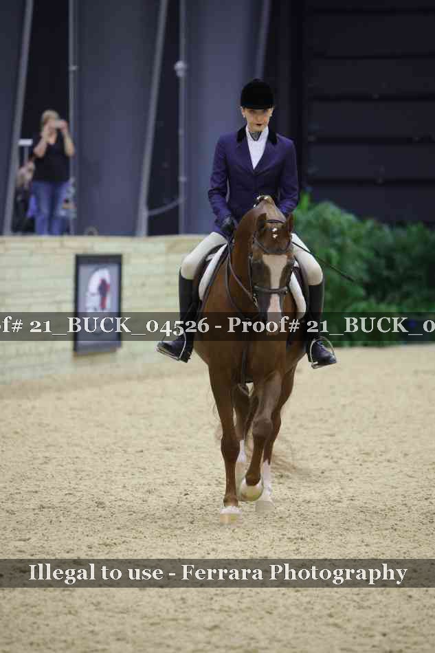 Proof 21_BUCK_04526